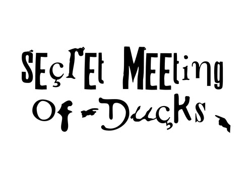 Secret Meeting of Ducks in black text on white background